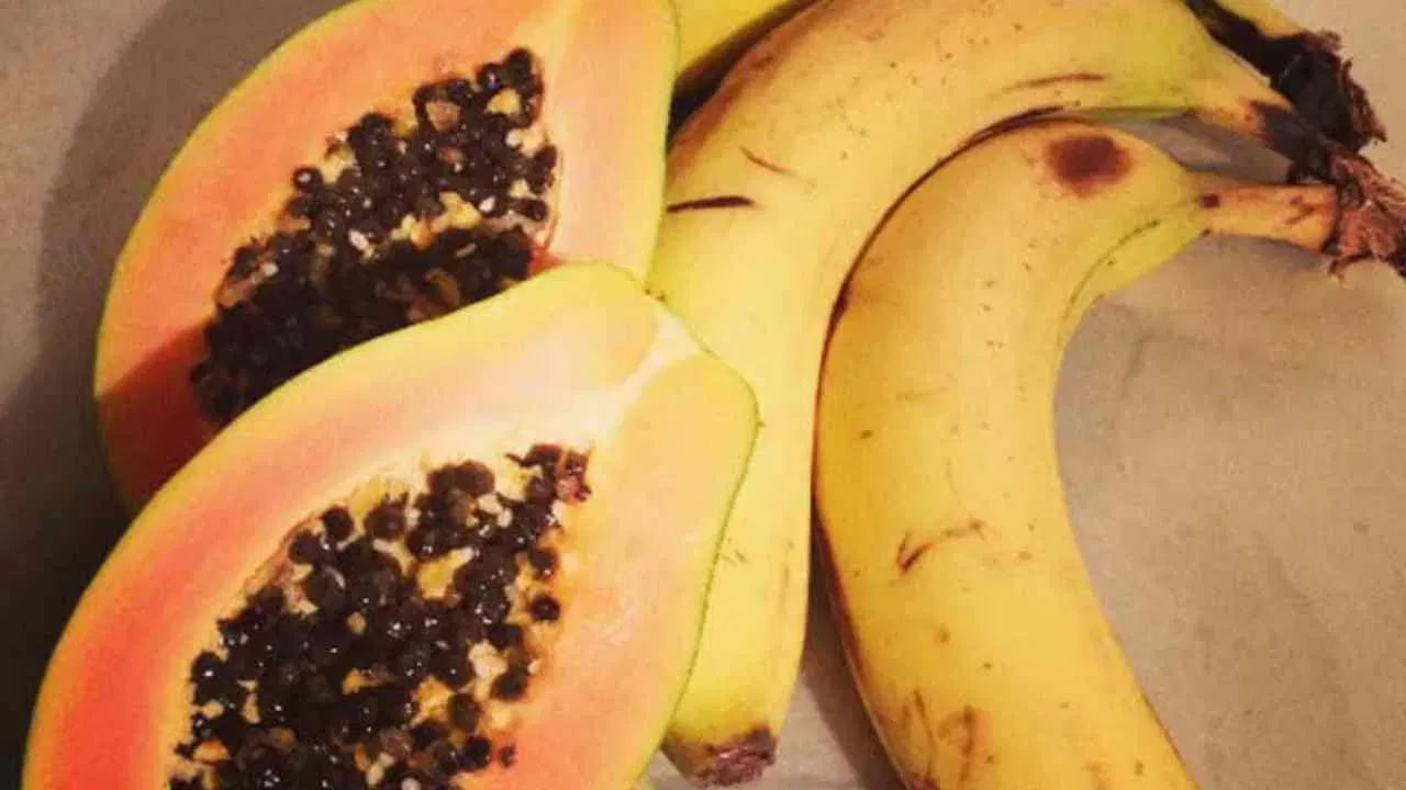 అరటి పండు, బొప్పాయి రెండింటి లో మంచి పోషక విలువలు ఉంటాయి. ఇవి రెండూ ఆరోగ్యానికి చాలా మేలు చేస్తాయి. అంతే కాకుండా చాలా విరివిగా దొరుకుతాయి. అందుకే చాలా మంది వీటిని ఎక్కువగా తినడానికి ఇంట్రస్ట్ చూపిస్తుంటారు. అయితే ఈ రెండు పండ్లు వేరు వేరుగా తినడం ఆరోగ్యానికి చాలా మంచిది కానీ, ఈ రెండు అస్సలే కలిపి తినకూడదని చెబుతుంటారు. ఎందుకంటే? ఈ రెండూ వేరు వేరు లక్షణాలు కలిగిఉంటాయి.