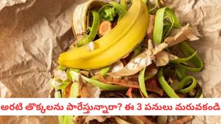 Gen Z: మద్యానికి గుడ్‌బై చెప్తున్న యువత.. భారత్‌లో సీన్ రివర్స్! షాకింగ్ సర్వే