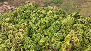 Ichchapuram: రజస్వల అయిన బాలిక.. 2 ఏళ్లుగా ఇంట్లోనే చీకటి గదిలో.. అధికారులు వెళ్లి చూడగా..