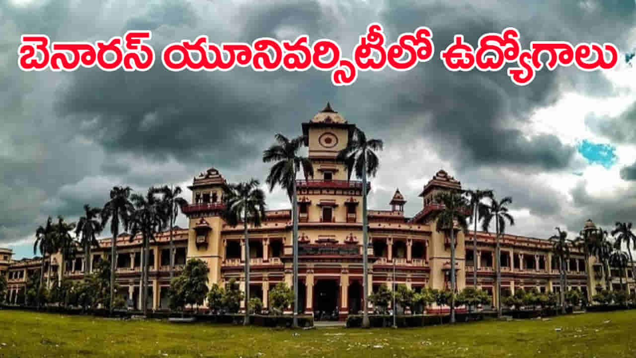 Banaras Hindu University Jobs 2025: బనారస్ హిందూ యూనివర్సిటీలో ఉద్యోగాలకు నోటిఫికేషన్‌.. రాత పరీక్ష లేదు