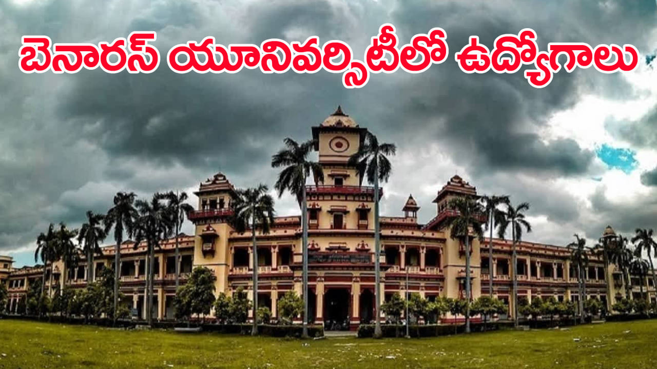 Banaras Hindu University Jobs 2025: బనారస్ హిందూ యూనివర్సిటీలో ఉద్యోగాలకు నోటిఫికేషన్‌.. రాత పరీక్ష లేదు