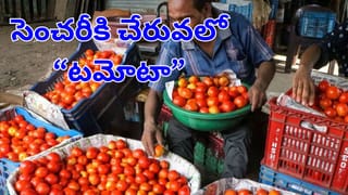 Parliament Winter Session: రేపట్నుంచే పార్లమెంట్ శీతాకాల సమావేశాలు.. కేంద్రం ప్రవేశపెట్టబోయే బిల్లులు ఇవే!