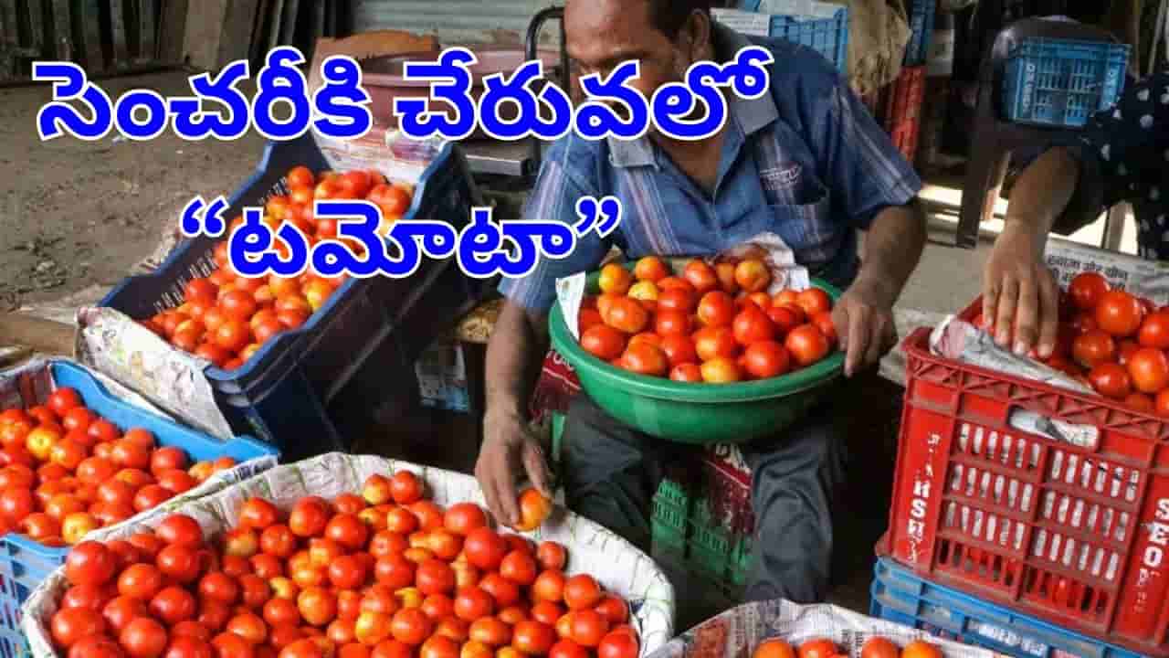 Tomato Prices: రాత్రి రాత్రే షాకిచ్చిన టమోటా.. సెంచరీకి చేరువలో కేజీ ధర..! కొనేదెట్ట భయ్యా..