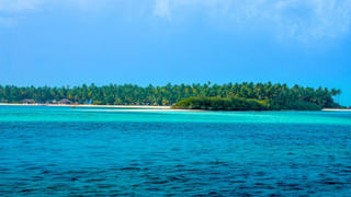 పోషకాల పవర్ హౌస్.. మేకలోని ఆ పార్ట్ తిన్నారంటే ఇక తిరుగుండదు..