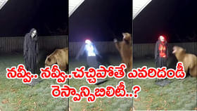 చచ్చాన్రా బాబోయ్‌.. ఎలుగు బంటికి గుండె ఆగినంత పనైందిగా..! వీడియో