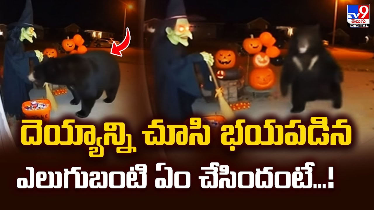 దెయ్యాన్ని చూసి భయపడిన ఎలుగుబంటి ఏం చేసిందంటే.. మస్త్ ఫీల్ ఉంది మామా దెయ్యాన్ని చూసి భయపడిన ఎలుగుబంటి ఏం చేసిందంటే.. మస్త్ ఫీల్ ఉంది మామా