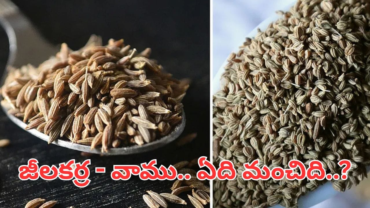 జీలకర్ర లేదా వాము.. బరువు తగ్గేందుకు ఏది పవర్ఫుల్..