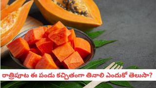 Healthy Breakfast: డయాబెటిస్, గుండె రోగులకు ఓట్స్ మంచిదా? గోధుమ రవ్వ మంచిదా?