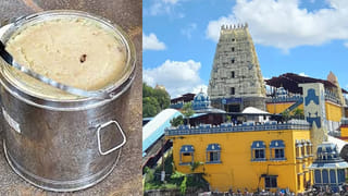 Telangana: అయ్యయ్యో..! ఎరక్కపోయి ఇరుక్కుపోయింది.. చివరకు..