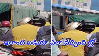 Viral Video: బుడ్డోడి మ్యాజిక్.. చేపలన్నీ పరిగెత్తుకుంటూ వచ్చాయి.. వీడియో చూస్తే అవాక్కే..
