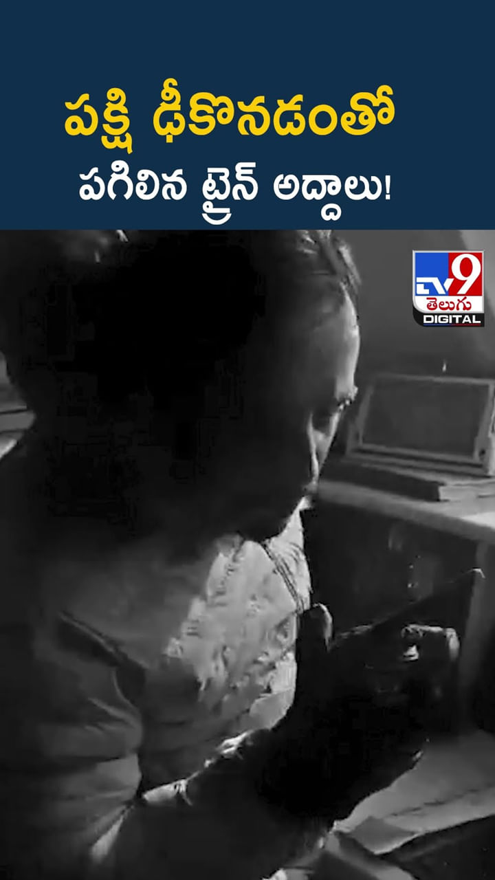 పక్షి ఢీకొనడంతో పగిలిన ట్రైన్ అద్దాలు తర్వాత వీడియో