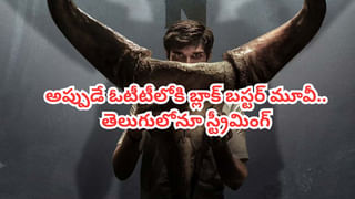 OTT Movies: ఈ వారం ఓటీటీల్లో సూపర్ హిట్ సినిమాలు, సిరీస్‌లు.. మొత్తం 20కు పైగానే.. స్ట్రీమింగ్ లిస్ట్ ఇదిగో