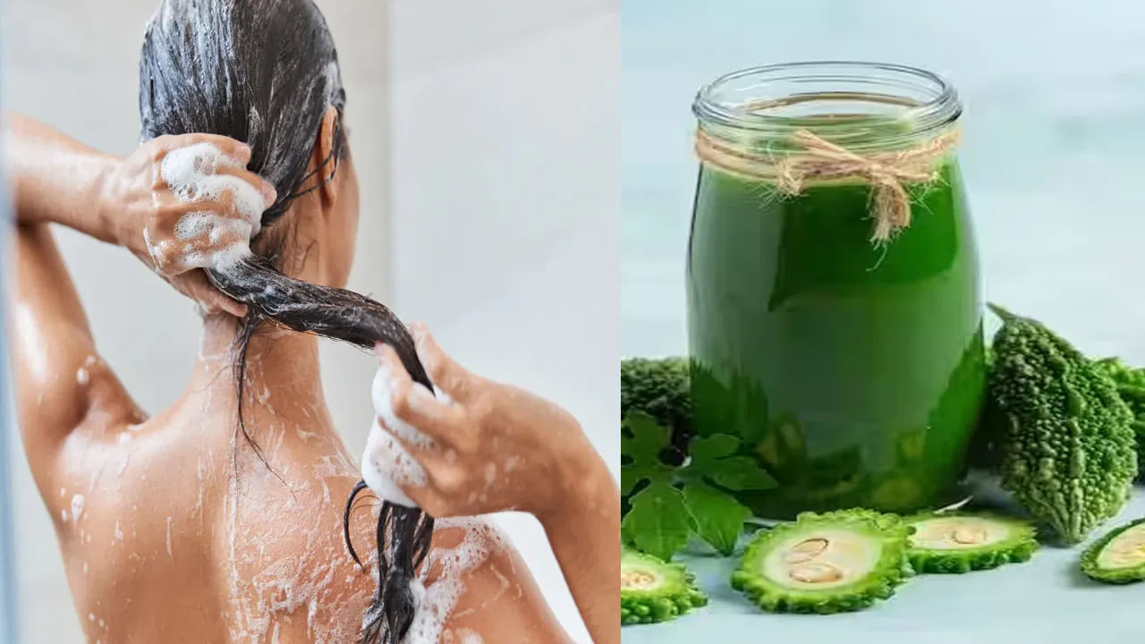 Bitter Gourd Juice For Hair