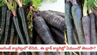 అవునా.. నిజమా..! భోజనం తర్వాత 15 నిమిషాలు నడిస్తే ఇన్ని ప్రయోజనాలా..