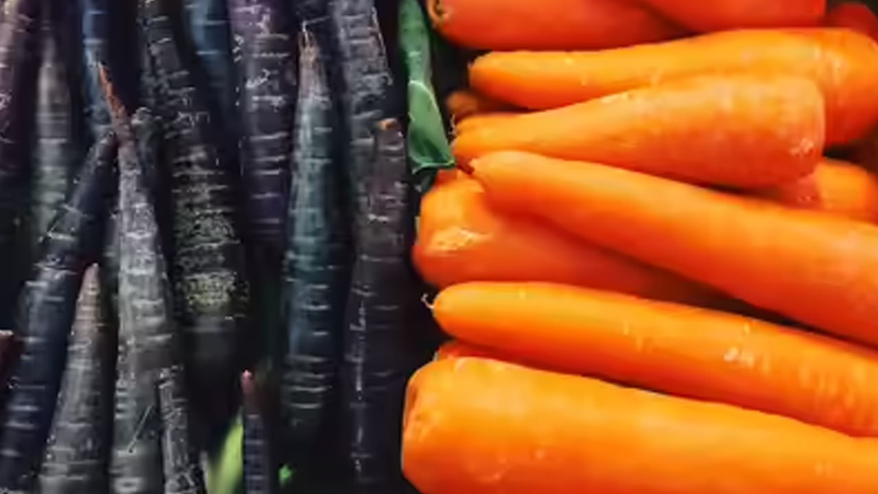 అన్ని రకాల క్యారెట్లు పోషకమైనవి. ప్రయోజనకరమైనవి. కానీ నల్ల క్యారెట్లలో ఉండే ఆంథోసైనిన్ అనే యాంటీఆక్సిడెంట్ ఆరోగ్యానికి ప్రయోజనకరం అంటున్నారు నిపుణులు. ఎర్ర క్యారెట్‌లో విటమిన్ ఎ, విటమిన్ కె1, విటమిన్ బి6, బయోటిన్, ఫైబర్, ప్రోటీన్, అనేక రకాల యాంటీఆక్సిడెంట్లు కనిపిస్తాయి. 