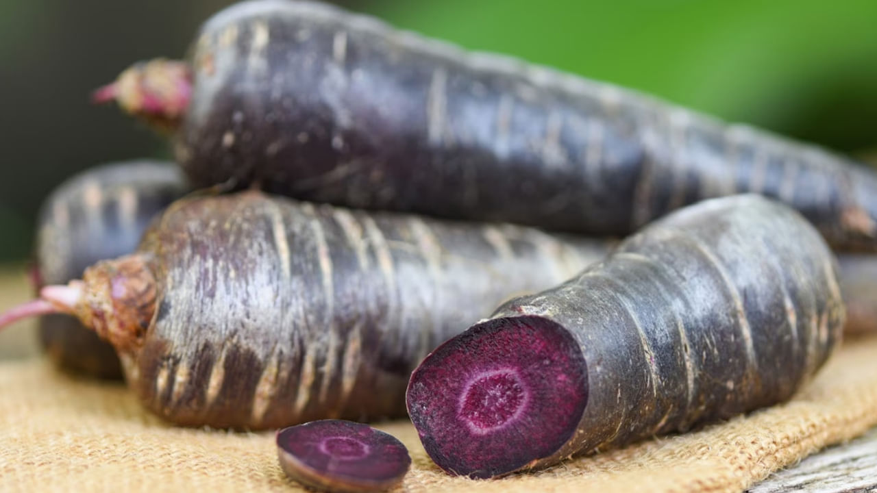 నల్ల క్యారెట్లు తినడం వల్ల బరువు తగ్గుతారు. ఇందులో అనేక పోషకాలు పుష్కలంగా ఉన్నాయి. దీనిలో కేలరీల కంటెంట్ కూడా తక్కువగా ఉంటుంది. నల్ల క్యారెట్లు తినడం వల్ల జీర్ణక్రియ మెరుగుపడుతుంది. ఇందులో అధిక మొత్తంలో ఫైబర్ ఉంటుంది. శరీరంలోని చెడు కొలెస్ట్రాల్‌ను తగ్గించడంలో కూడా ఇది సహాయపడుతుంది. 