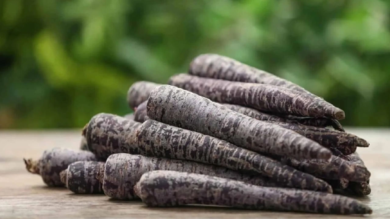 నల్ల క్యారెట్లలో ఫైబర్, పోషకాలు, యాంటీఆక్సిడెంట్లు పుష్కలంగా ఉంటాయి. అవి జీర్ణవ్యవస్థను మెరుగుపరుస్తాయి. మలబద్ధకం, గ్యాస్, గుండెల్లో మంట, ఉబ్బరం, విరేచనాలు వంటి అనేక ఆరోగ్య సమస్యల నుండి కూడా ఉపశమనం కలిగిస్తాయి. గుండె జబ్బుల ప్రమాదాన్ని తగ్గించడంలో సహాయపడతాయి.