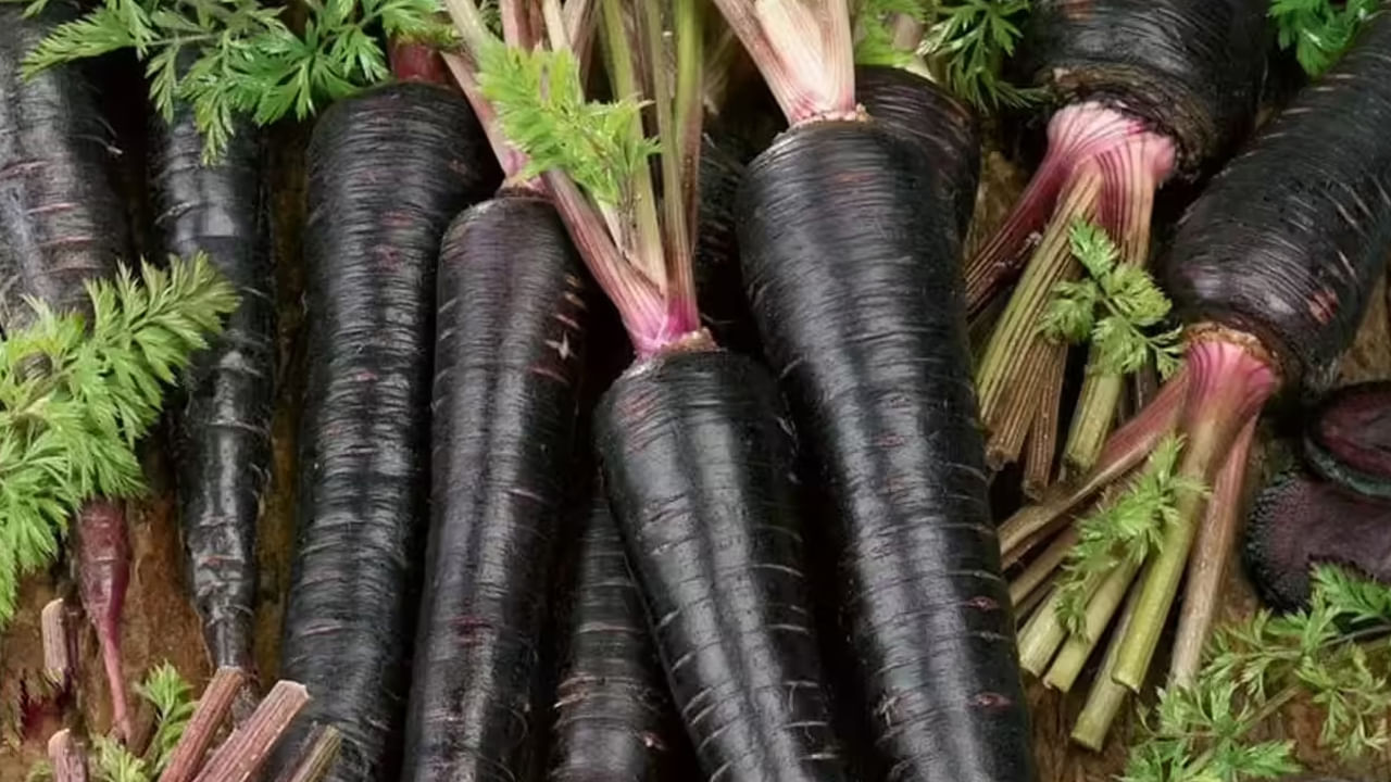 నల్ల క్యారెట్లలో విటమిన్లు ఎ, సి పుష్కలంగా ఉంటాయి. నల్ల క్యారెట్లు తినడం వల్ల కంటి చూపు మెరుగుపడుతుంది. ఇందులో ఆంథోసైనిన్ సమ్మేళనం ఉంటుంది. ఇది అనేక కంటి వ్యాధులను దూరం చేయడంలో సహాయపడుతుంది. 