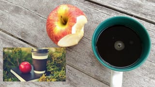 దోమల పెంపకం.. ఆ దేశంలో ప్రభుత్వమే దోమల్ని పెంచి, జనావాసాల్లో వదులుతుంది! ఎందుకో తెలిస్తే.. మన దేశంలోనూ అదే చేయాలంటారు!