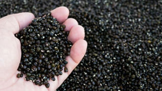 Health Tips: ఈ ఐదు సూపర్‌ డ్రింక్స్‌ మీ డైట్‌లో ఉంటే.. ఈ సమస్యలకు చూమంత్రం వేసినట్టే