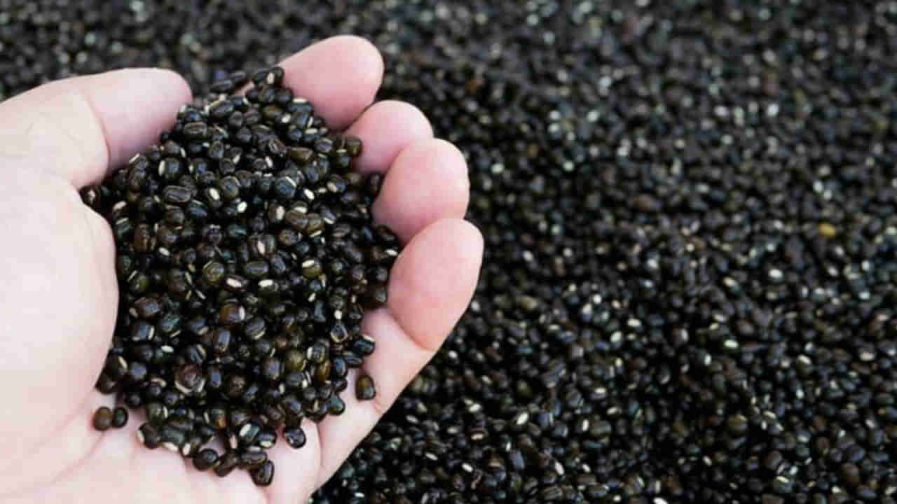 పొట్టు మినపప్పు తింటే పుట్టెడు లాభాలు.. వెంటనే మొదలుపెట్టేయండి..!