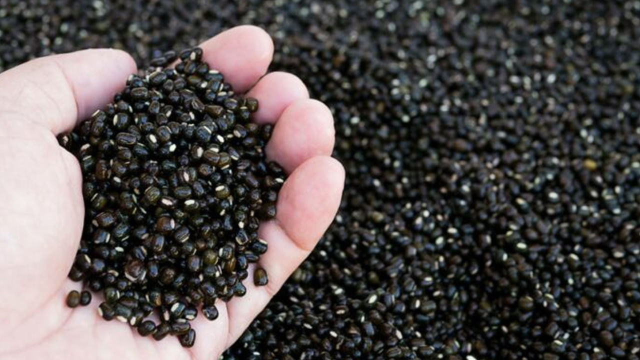 పొట్టు మినపప్పు తింటే పుట్టెడు లాభాలు.. వెంటనే మొదలుపెట్టేయండి..!