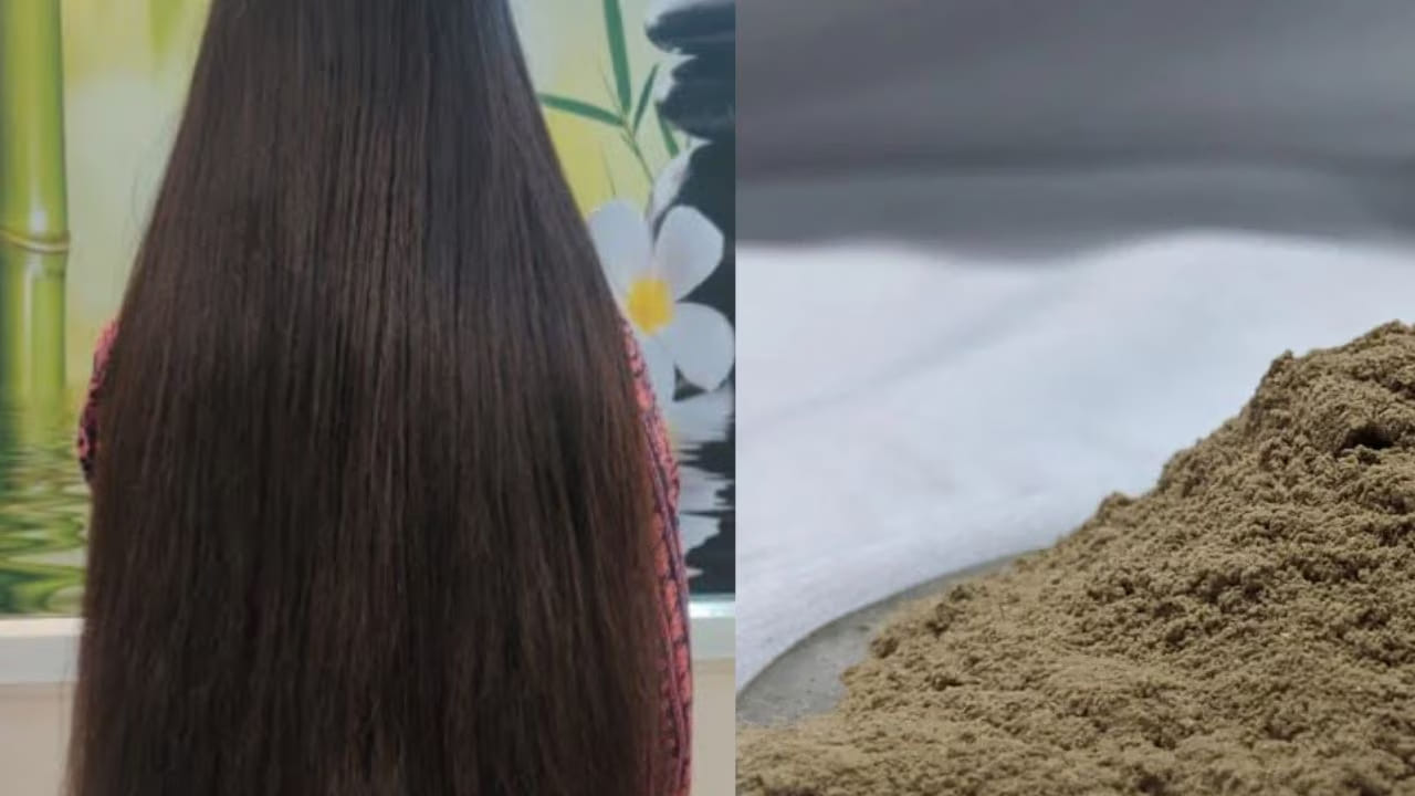 ఆమ్లాలో జుట్టుకు అవసరమైన పోషకాలు పుష్కలంగా ఉన్నాయి. ఇందులో విటమిన్లు E, K ఉంటాయి. ఆమ్లా పొడిని కొబ్బరి నూనెతో కలిపి పూయడం వల్ల తల చర్మం, జుట్టు మూలాలు బలపడతాయి.