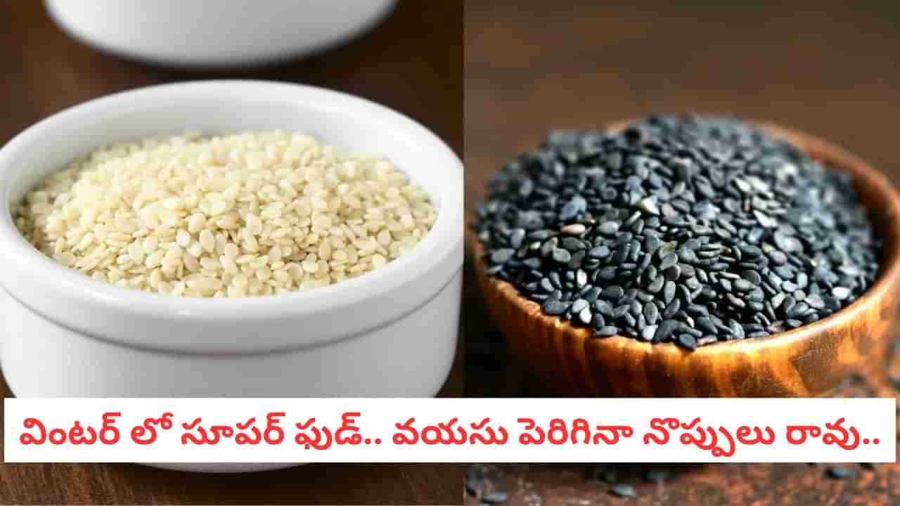 Sesame Seeds: తెలుపు వర్సెస్ నల్ల నువ్వులు! రెండింటిలో పోషక విలువలు ఎందులో ఎక్కువంటే?
