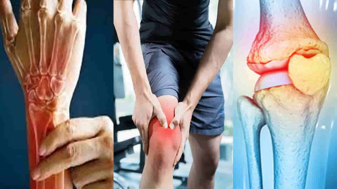 Bone Health: ఎముకలు గుల్లయ్యేది ఇందుకేనట.. కారణాలు తెలిస్తే వాటిని జన్మలో ముట్టుకోరు..