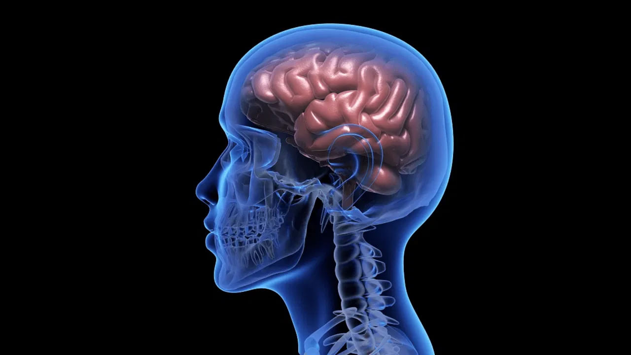 ఈ ప్రారంభ సంకేతాలు కనిపించినప్పుడు, వాటిని విస్మరించకుండా వెంటనే వైద్యుడిని సంప్రదించడం ద్వారా ప్రాణాంతకమైన స్ట్రోక్ లేదా పక్షవాతం ప్రమాదాన్ని గణనీయంగా తగ్గించుకోవచ్చు. ముందే జాగ్రత్త పడితే పెద్ద ప్రమాదాన్ని నివారించవచ్చు.
