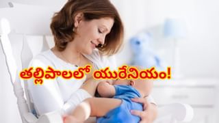 ఆగని బస్సు ప్రమాదాలు.. మరో రెండు ప్రైవేటు బస్సులు ఢీ.. పలువురు మృతి