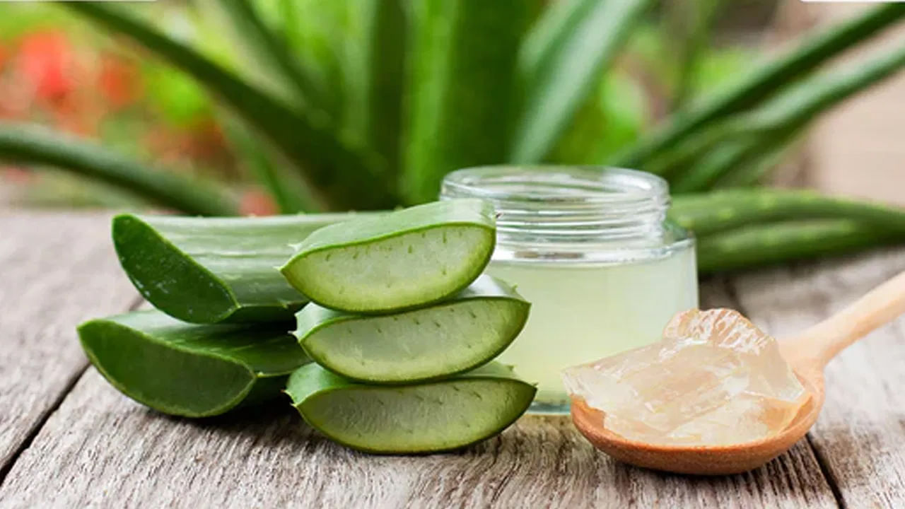 మొటిమలు తగ్గ, చర్మం మృదువు గా అందంగా తయారు కావాలి అంటే దానికి వేప, కలబంద స్క్రబ్ బెస్ట్ అంట. వేపకులను శుభ్రపరచి, వాటిని ఎండ బెట్టి పొడి చేసుకోవాలి. తర్వాత ఆ పొడిని కలబంద జెల్తో కలిపి ముఖానికి అప్లై చేయడం వలన ఇది చర్మాన్ని శుభ్ర పరిచి, మొటిమలను తొలిగించి, చర్మం సాప్ట్గా అయ్యేలా చేస్తుందంట.