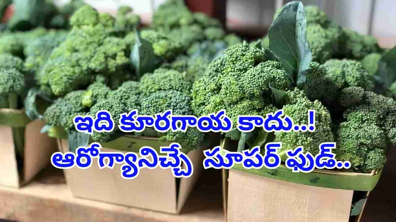 Broccoli : బాప్రే.. బ్రోకలీ ప్రయోజనాలు తెలిస్తే అస్సలు వదిలిపెట్టరు..