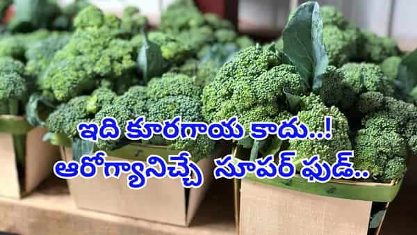 Broccoli : బాప్రే.. బ్రోకలీ ప్రయోజనాలు తెలిస్తే అస్సలు వదిలిపెట్టరు..