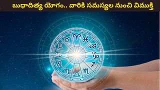 Rahu Dosha: రాహువుతో ఆ రాశుల వారికి ప్రమాదం! పరిహారాలు ఏంటో తెలుసుకోండి