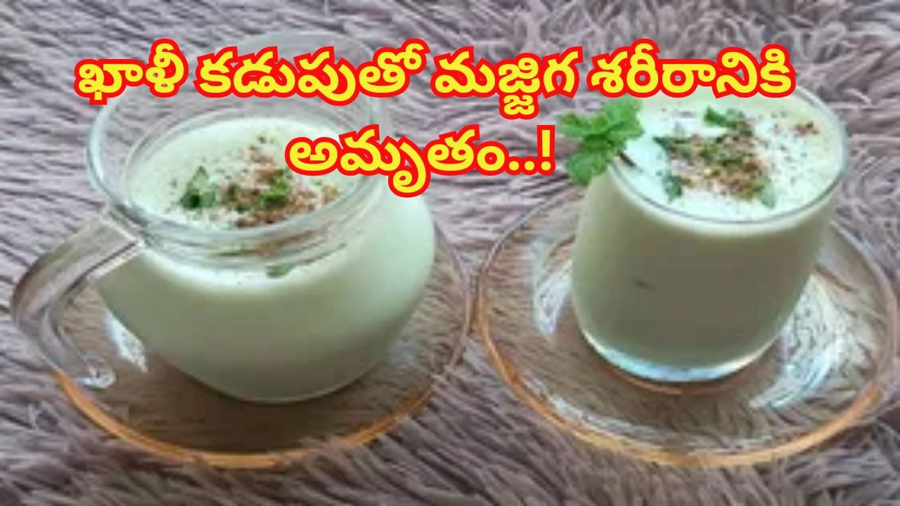 Buttermilk Benefits: ఖాళీ కడుపుతో మజ్జిగ.. శరీరానికి అమృతం..! ఆరోగ్య ప్రయోజనాలు తెలిస్తే..