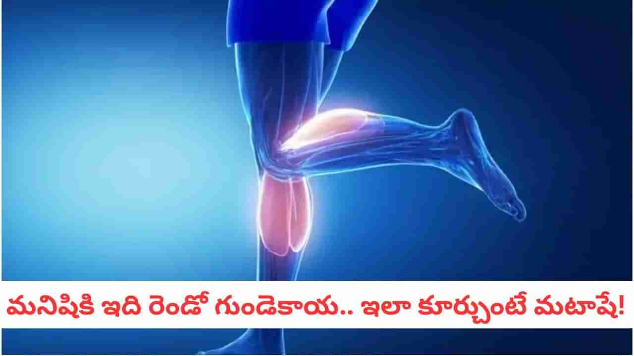 Second Heart: డాక్టర్లు దీన్ని రెండో గుండె అంటారు.. దీనిని నిర్లక్ష్యం చేస్తే ఎంత ప్రమాదమో తెలుసా?