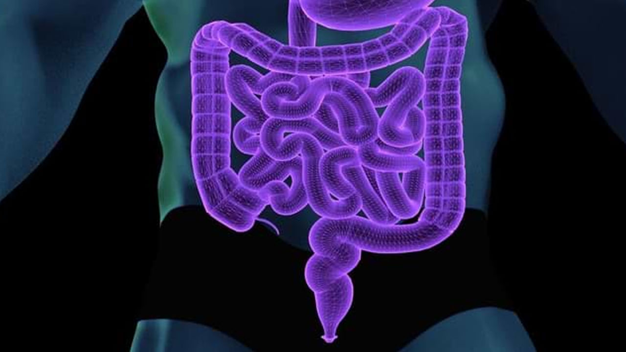 ఎలాంటి కారణాలు లేకుండా గనుక మీ మలంలో ఎరుపు లేదా, ముదురు రంగులో రక్తం పడితే, తప్పకుండా వైద్యుడిని సంప్రదించాలని చెబుతున్నారు వైద్య నిపుణులు ఎందుకంటే ఇది పెద్దపేగు క్యాన్సర్ ప్రధాన లక్షణం. అలాగే మల విసర్జనలో మార్పులు. ఎక్కువ సార్లు టాయిలెట్‌కు వెళ్లాల్సిరావడం, పొత్తి కడుపులో నొప్పి ఇవన్నీ పెద్ద పేగు క్యాన్సర్ లక్షణాలేనంట.