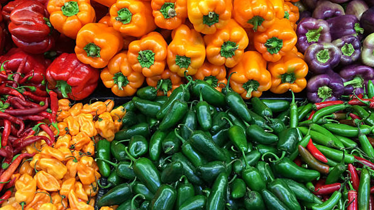 బరువు పెరగడాన్ని నియంత్రిస్తుంది: క్యాప్సికమ్లో కేలరీలు తక్కువగా, ఫైబర్ అధికంగా ఉంటాయి. ఇది బరువు పెరగడాన్ని నియంత్రించడంలో సహాయపడుతుంది. ఫైబర్ మిమ్మల్ని కడుపు నిండిన అనుభూతిని కలిగిస్తుంది. ఇది ఆకలిని తగ్గిస్తుంది. ఊబకాయాన్ని నివారిస్తుంది.