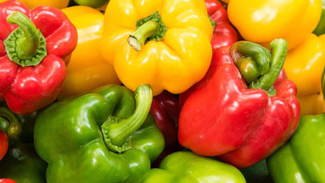 గుండెకు మేలు చేస్తుంది: బెల్ పెప్పర్లో పొటాషియం అధికంగా ఉంటుంది. ఇది రక్తపోటును నియంత్రించడంలో సహాయపడుతుంది. పొటాషియం గుండె కండరాలను ఆరోగ్యంగా ఉంచడానికి కూడా సహాయపడుతుంది.