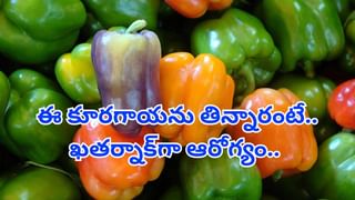 ఈ విత్తనాలు పోషకాల పవర్‌హౌజ్‌..అమేజింగ్ హెల్త్ బెనిఫిట్స్ తెలిస్తే.. ఒక్క గింజ కూడా వదలరు..