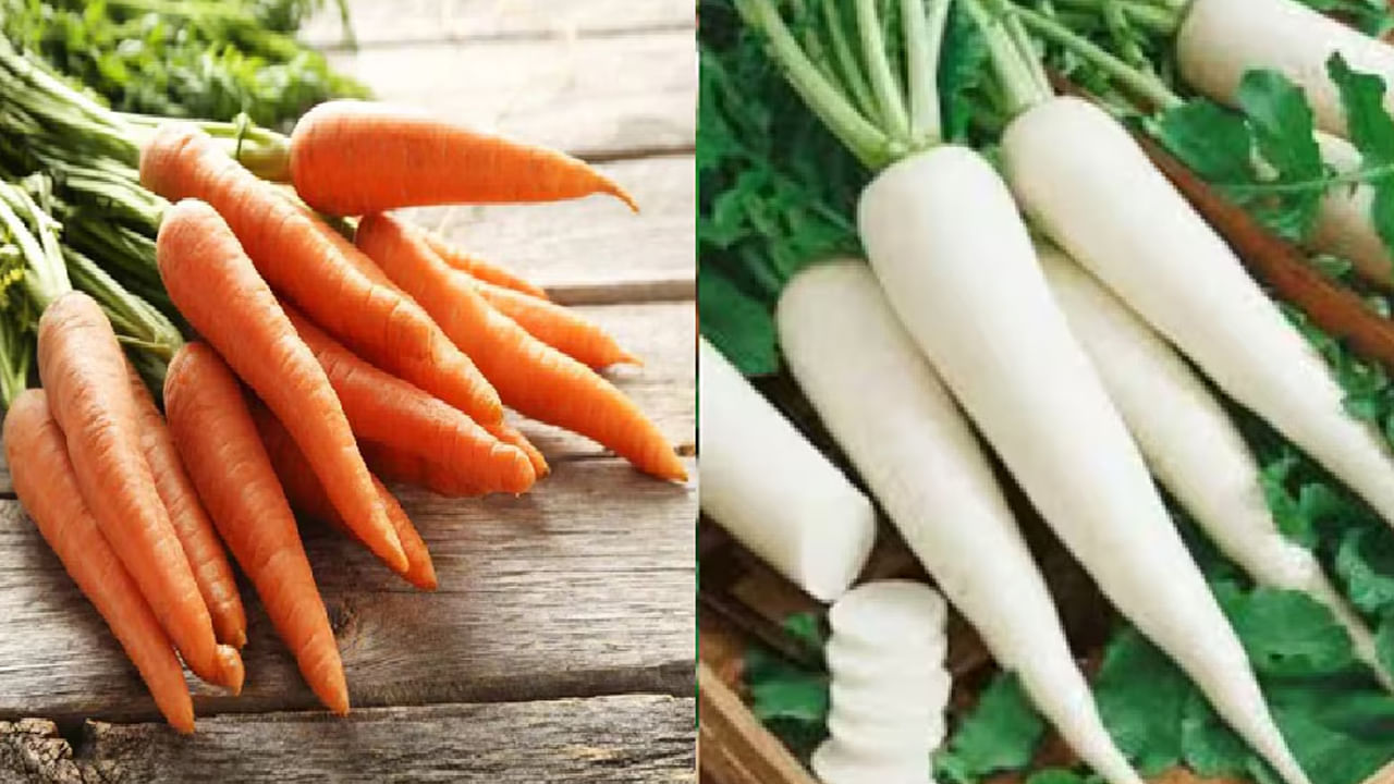  ఇక మన ఆరోగ్యానికి రెండింటిలో ఏ ఉత్తమైనది అనే విషయానికి వస్తే .. మీరు కంటి ఆరోగ్యాన్ని మెరుగుపర్చుకోవాలనుకుంటే, లేదీ మీకు విటమిన్ ఎ అవసరం ఎక్కువగా ఉంటే మీరు క్యారెట్లు తీసుకొవచ్చి. అలా కాకుండా మీకు మీ జీర్ణక్రియ మెరుగుపడాలన్నా, విటమిన్ సి, మలబద్ధకం సంబంధిత సమస్యలు తొలగిపోవాలన్నా ముల్లంగి తీసుకోండి. కాబట్టి రెండింటిలో ఏంది ఉత్తమం అనేది మీ అవసరాలను బట్టి మారుతుంది