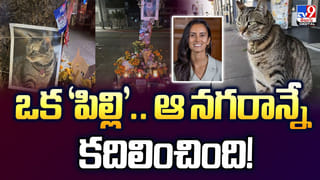 ఉద్యోగులపై  నిఘా !! 5 నిమిషాల పాటు మౌస్‌ ను ముట్టుకోకుంటే !!