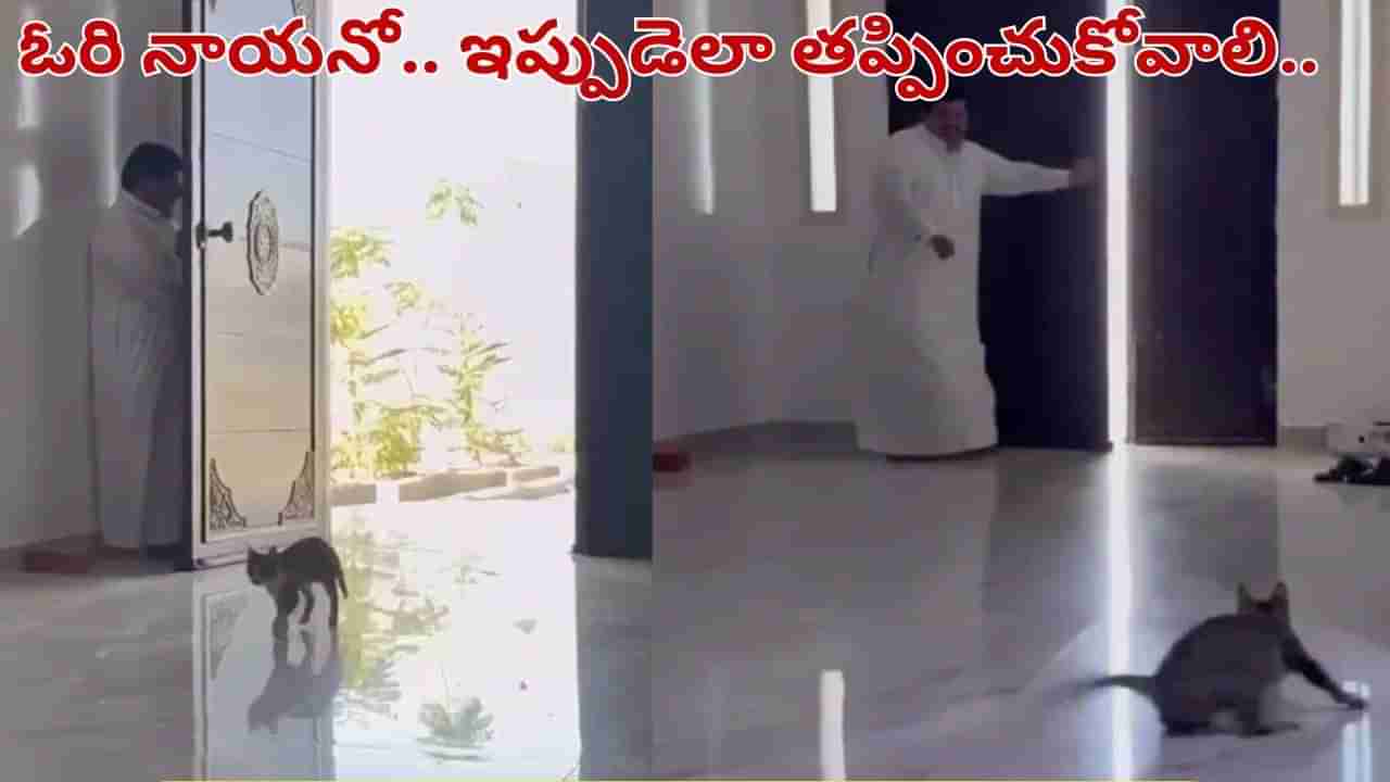 Viral Video: అయ్యో.. ఎర్రక్కపోయి.. ఇర్రుక్కపోయింది.. ఈ వీడియో చూస్తే నవ్వు ఆగదు..