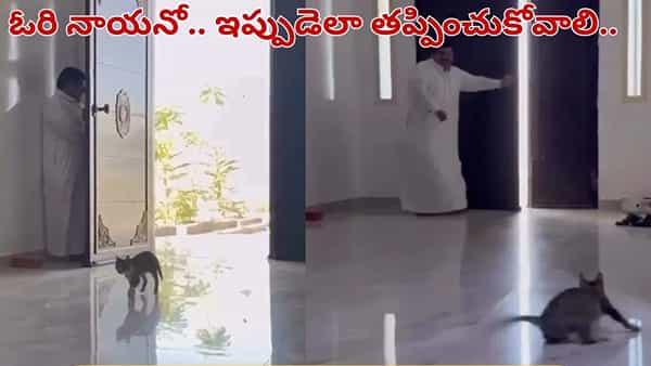 Viral Video: అయ్యో.. ఎర్రక్కపోయి.. ఇర్రుక్కపోయింది.. ఈ వీడియో చూస్తే నవ్వు ఆగదు..