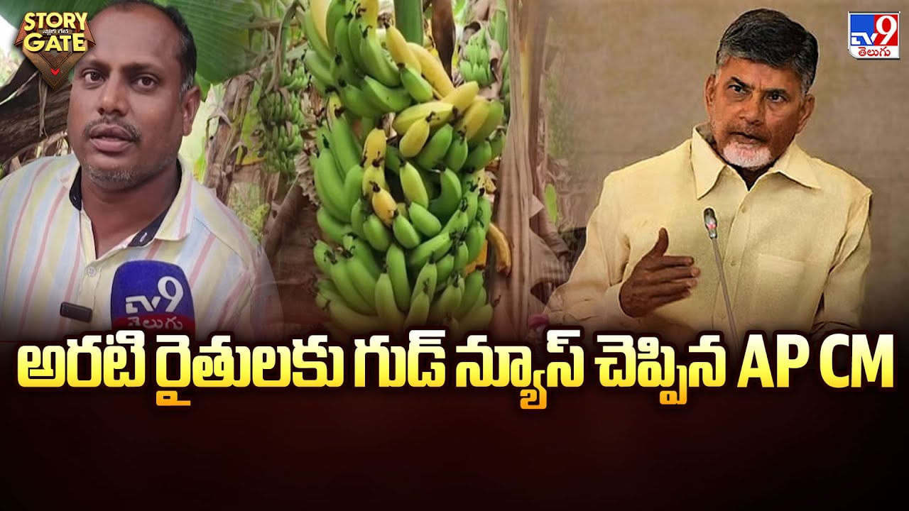 Chandrababu Naidu: అరటి రైతులకు గుడ్ న్యూస్ చెప్పిన AP CM