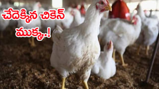 ప్చ్‌..కొంపముంచిన వీకెండ్‌..! 424 మంది మందుబాబులు అడ్డంగా బుక్కయ్యారుగా..