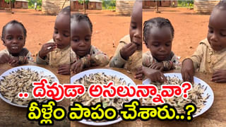 ఓరి దేవుడా! యాపిల్ 10 లచ్చలా.. తినాలా బిరువాలో పెట్టుకోవాలా…?