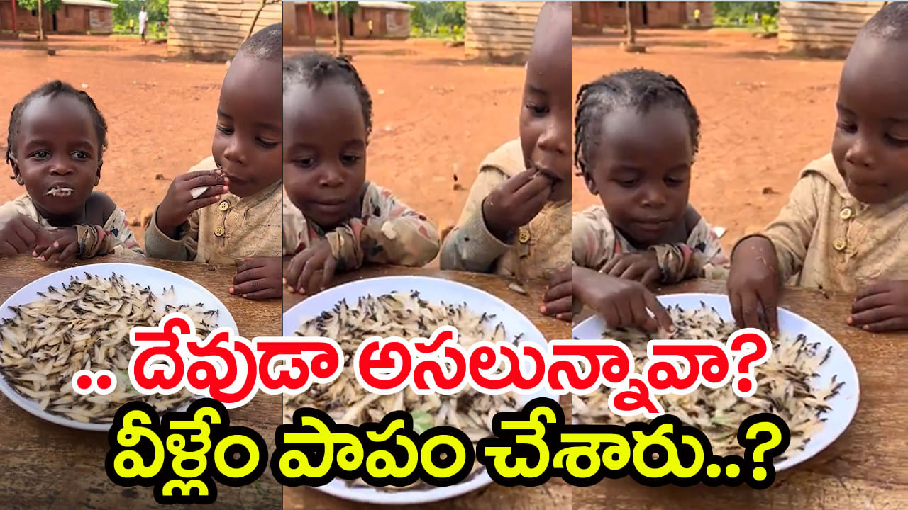Watch Video: ఆకలి తట్టుకోలేక బతికున్న పురుగులు తింటున్న చిన్నారులు.. కన్నీరు పెట్టిస్తున్న వీడియో!