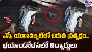 Andhra News: 3 రాష్ట్రాలను వణికించారు.. కట్‌చేస్తే.. విజయవాడలో అడ్డంగా బుక్కయ్యారు..